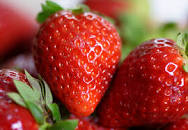 FRUTILLAS CONGELADAS