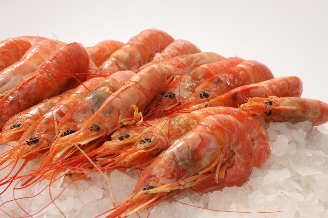 LANGOSTINOS ENTEROS