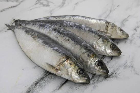 SARDINAS PORTUGUESAS